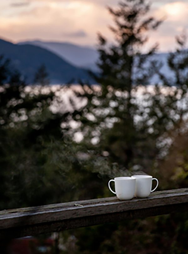 Serenity Vacations at the Mountains