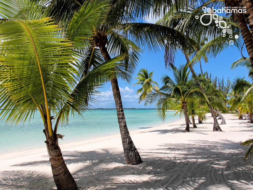 Beach at Freeport _grand Bahamas Island