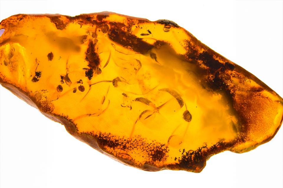 Amber Museum Punta Plata DR