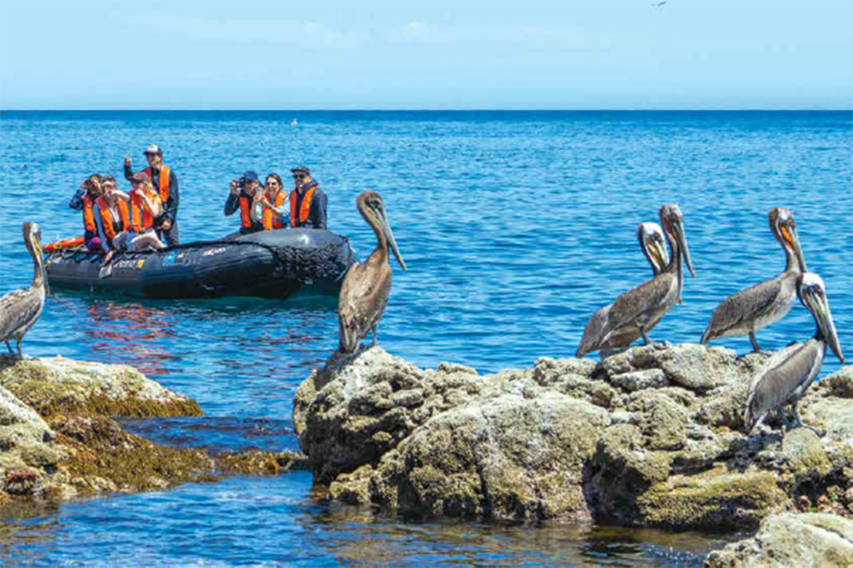 Baja California -3