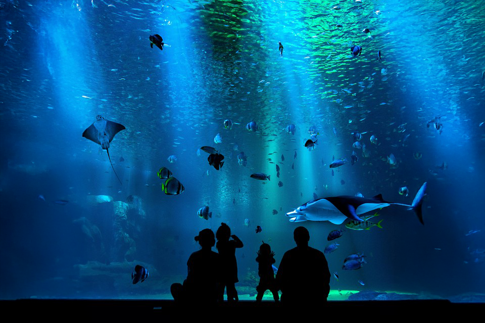 Cancun Aquarium