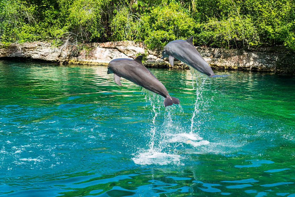Eco Parks Cancun