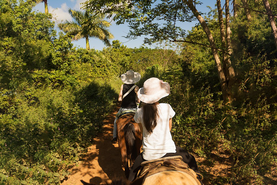 Horse Play DR