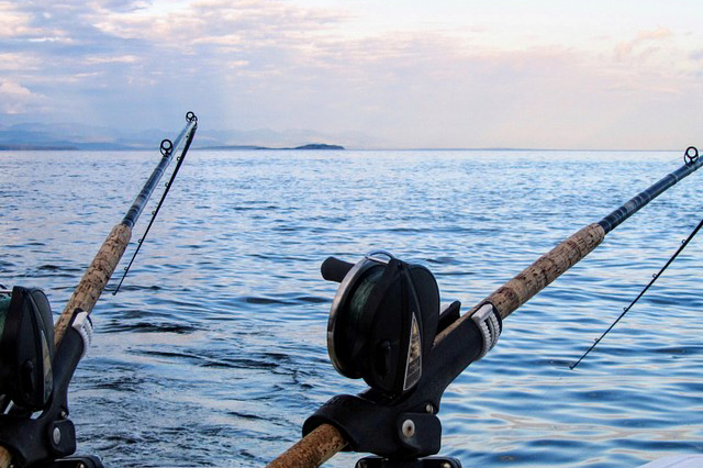 Los Cabos Sportfishing