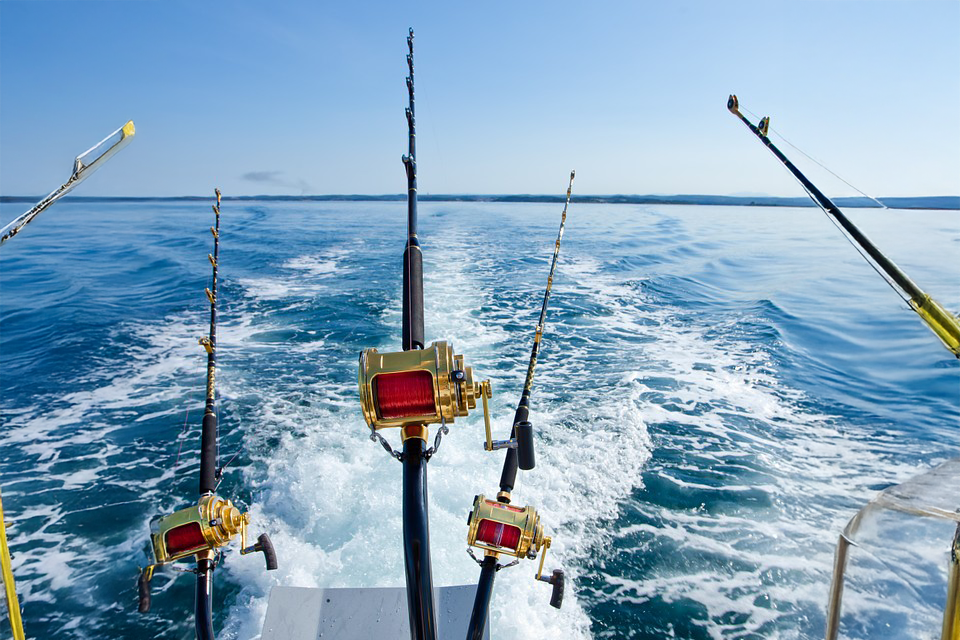 Punta Cana Fishing