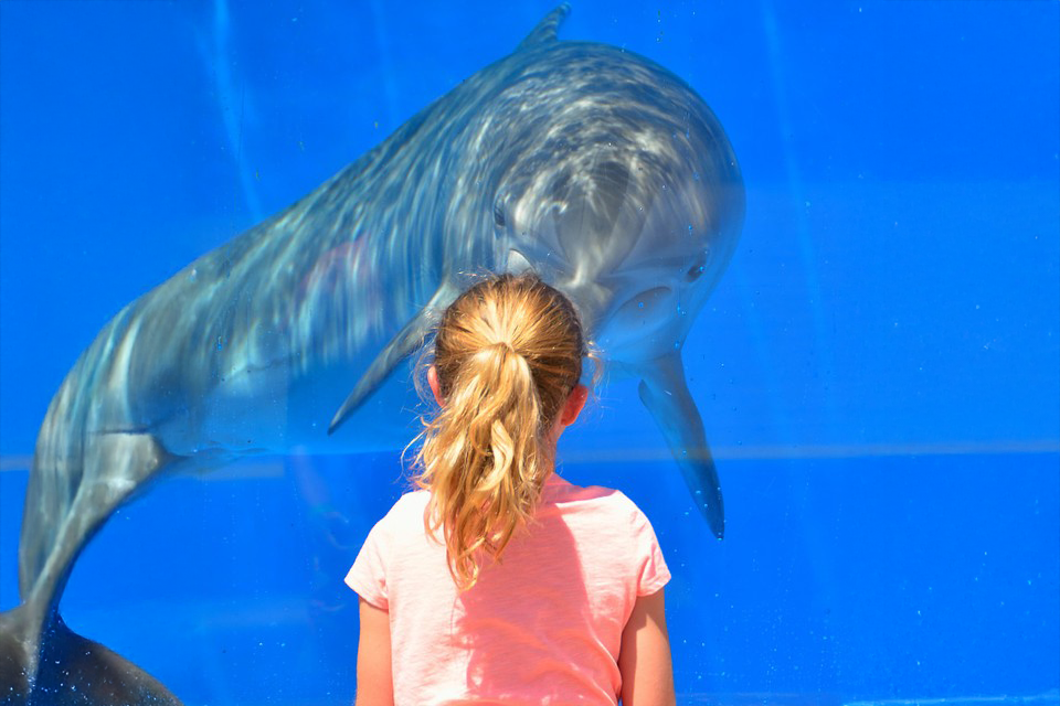 Ocean World Punta Plata DR